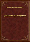 Gniewem nie wskorasz - ebook