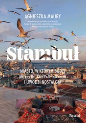 : Stambuł. Miasto, w którym budzi muezzin, kołysze Bosfor i uwodzi nostalgia - ebook