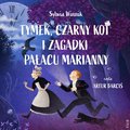 Tymek, Czarny Kot i zagadki Pałacu Marianny - audiobook