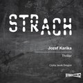 audiobooki: Strach - audiobook