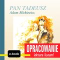 Pan Tadeusz - ebook