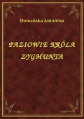 Paziowie Króla Zygmunta - ebook