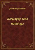 ebooki: Zaręczyny Jana Bełskiego - ebook