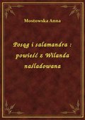 Posąg i salamandra : powieść z Wilanda naśladowana - ebook