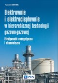 Elektrownie i elektrociepłownie w hierarchicznej technologii gazowo-gazowej - ebook
